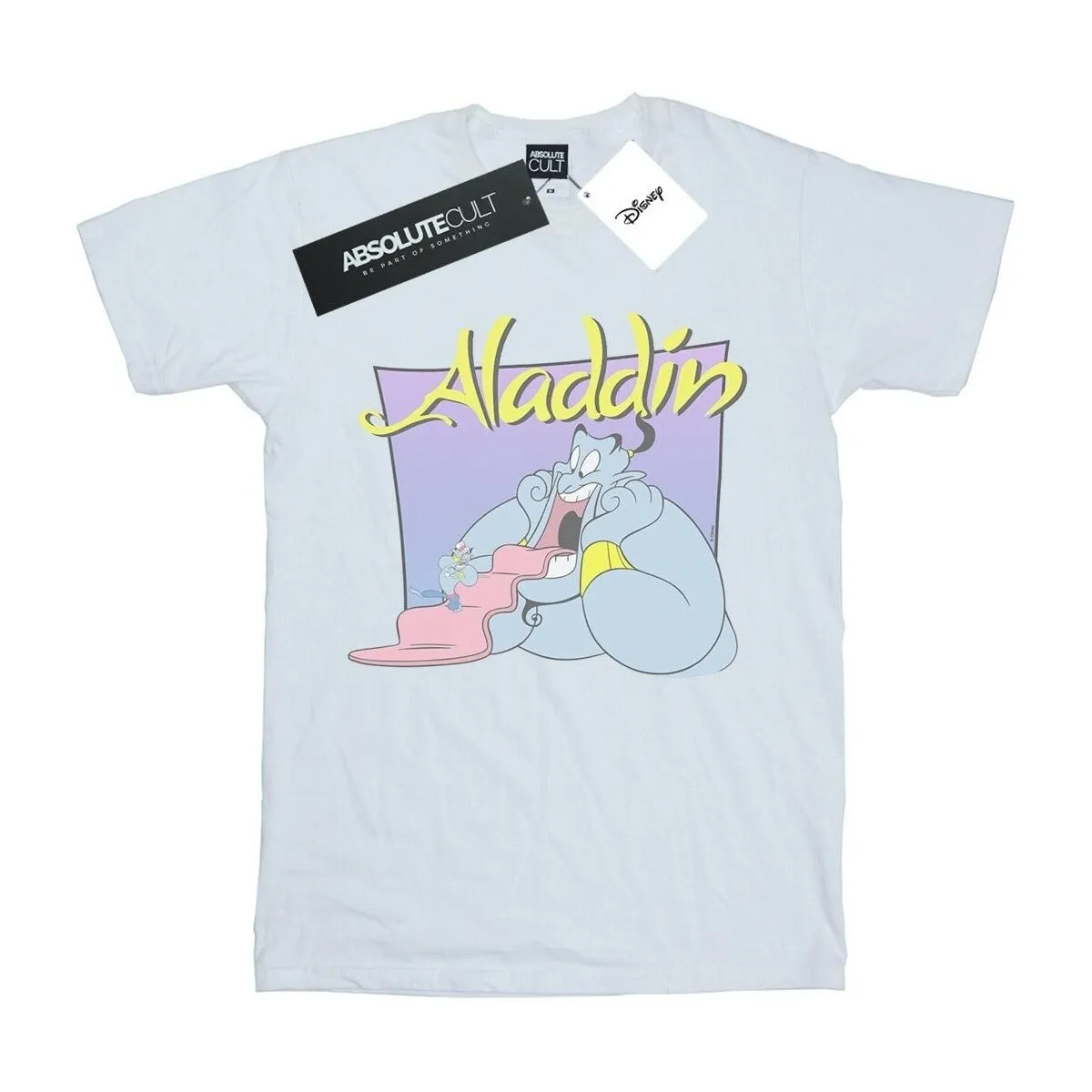 Aladdin Genie Wishing Dude