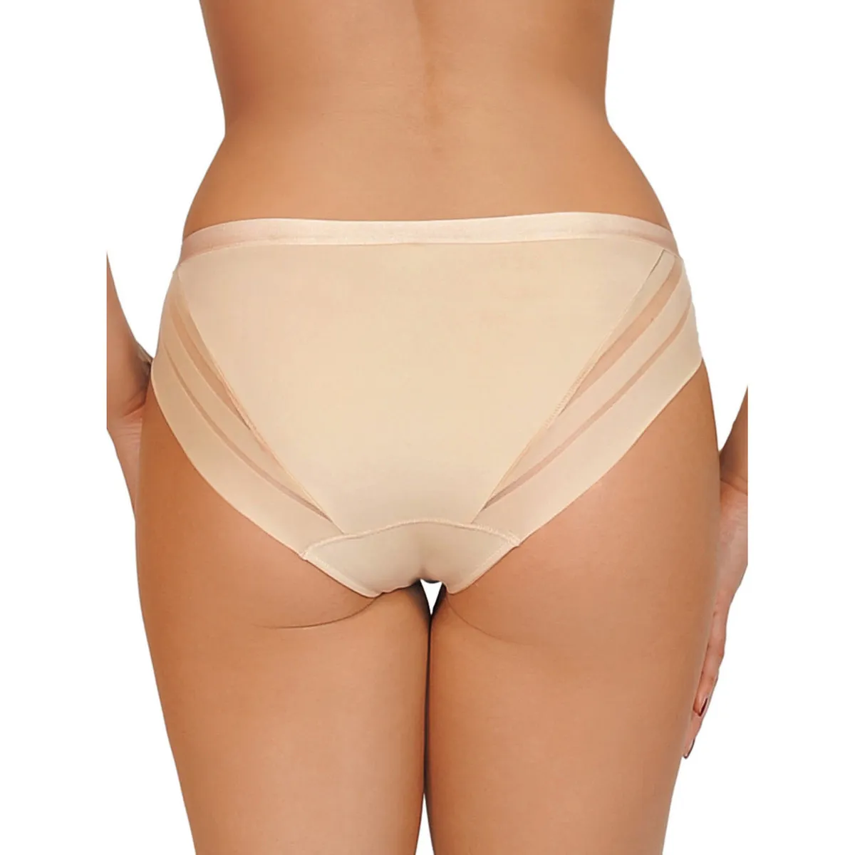 Alegra  Brief