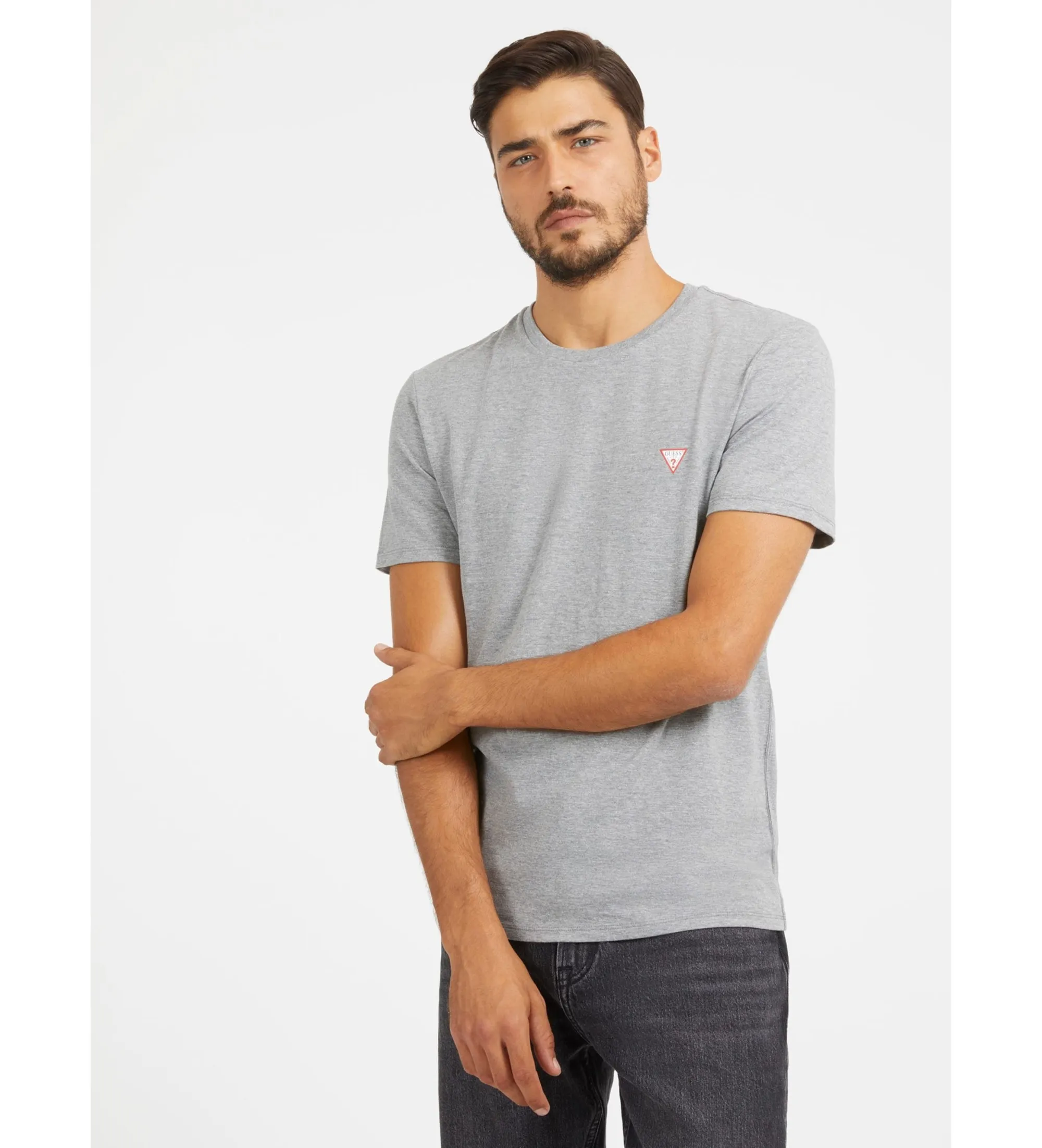Camiserta Core SS gris