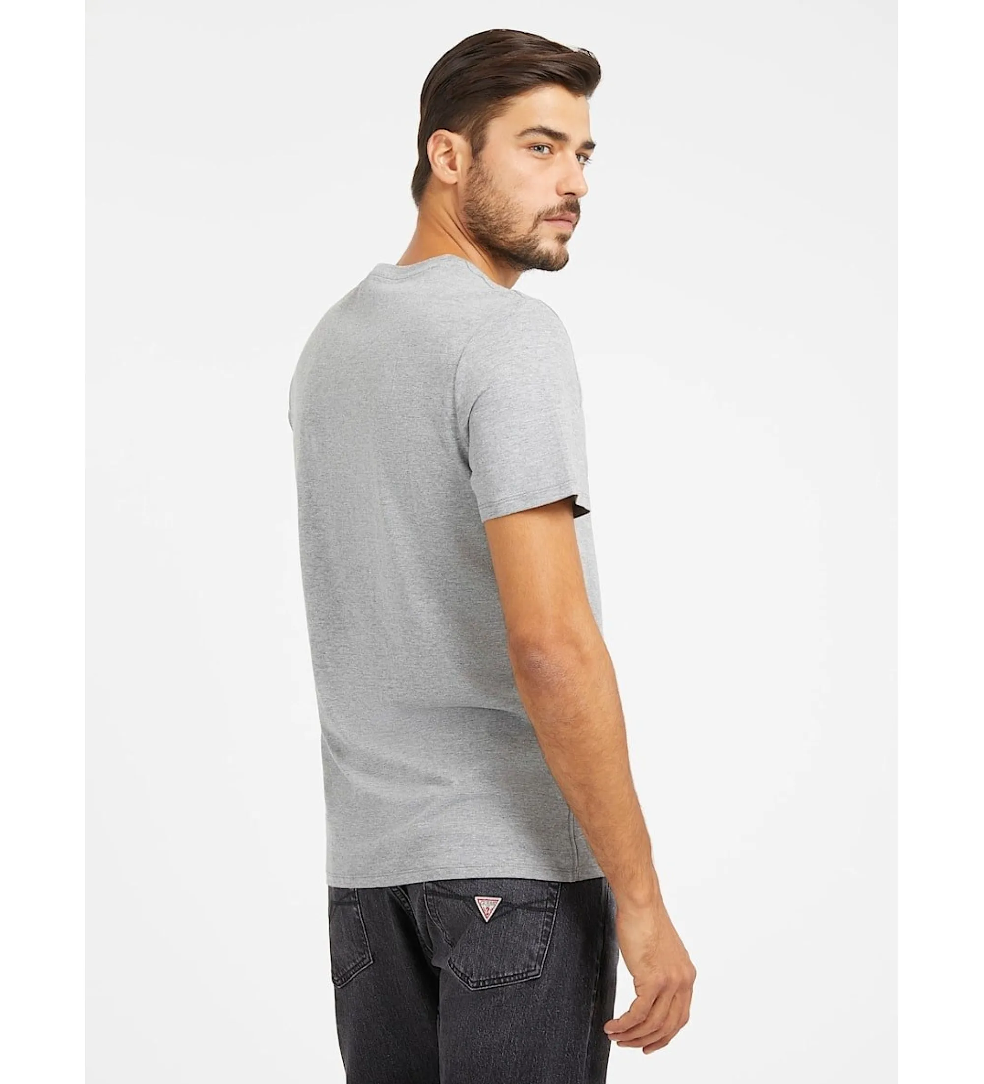 Camiserta Core SS gris