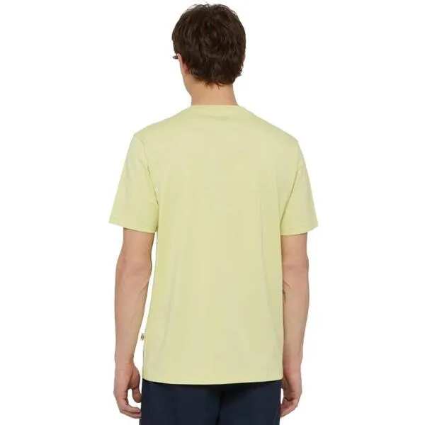 Camiseta  Dickies Mapleton Verde para Hombre