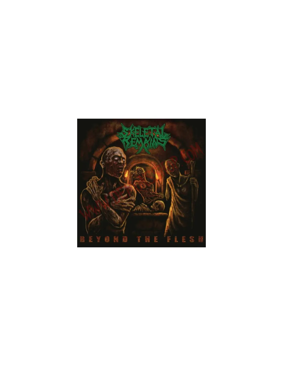CD SKELETAL REMAINS  BEYOND THE FLESH