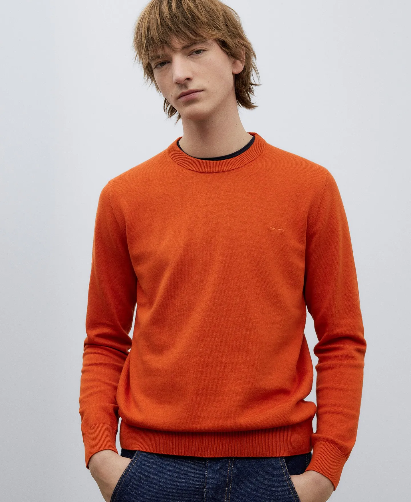 Cotton crew collar sweater man