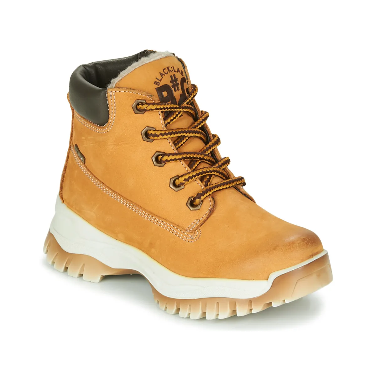 HOSHI GTX