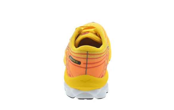 MIZUNO WAVE SKYRISE 5