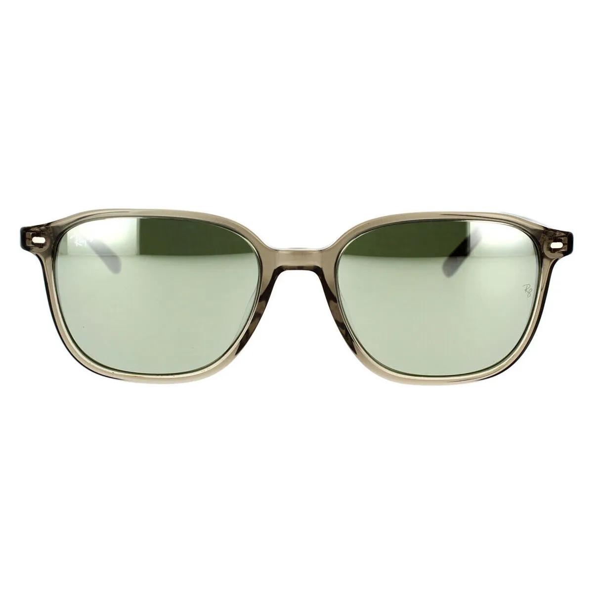 Occhiali da Sole  Leonard RB2193 66355C