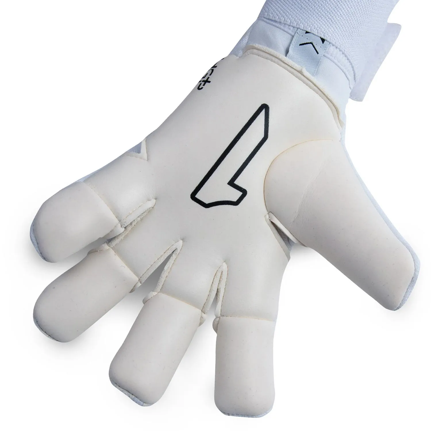 Rinat Aries Némesis Semi
