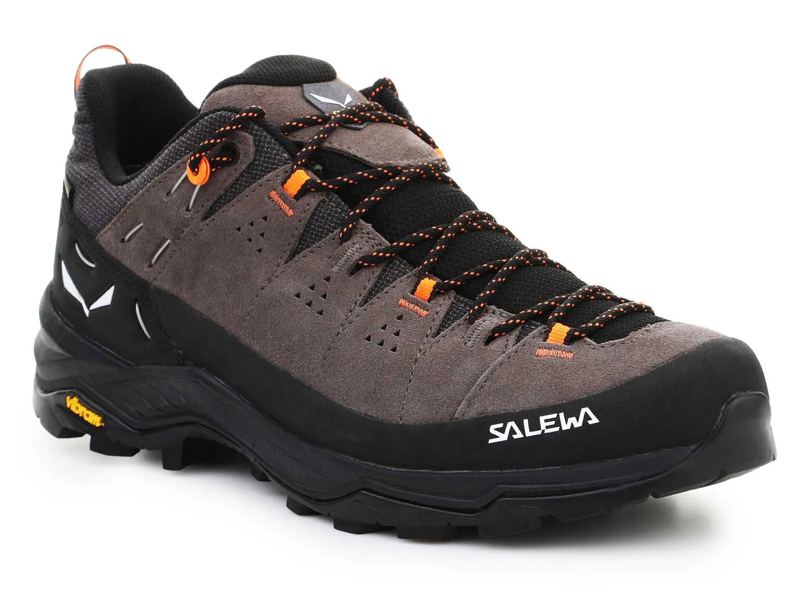 Salewa Alp Trainer 2 GTX