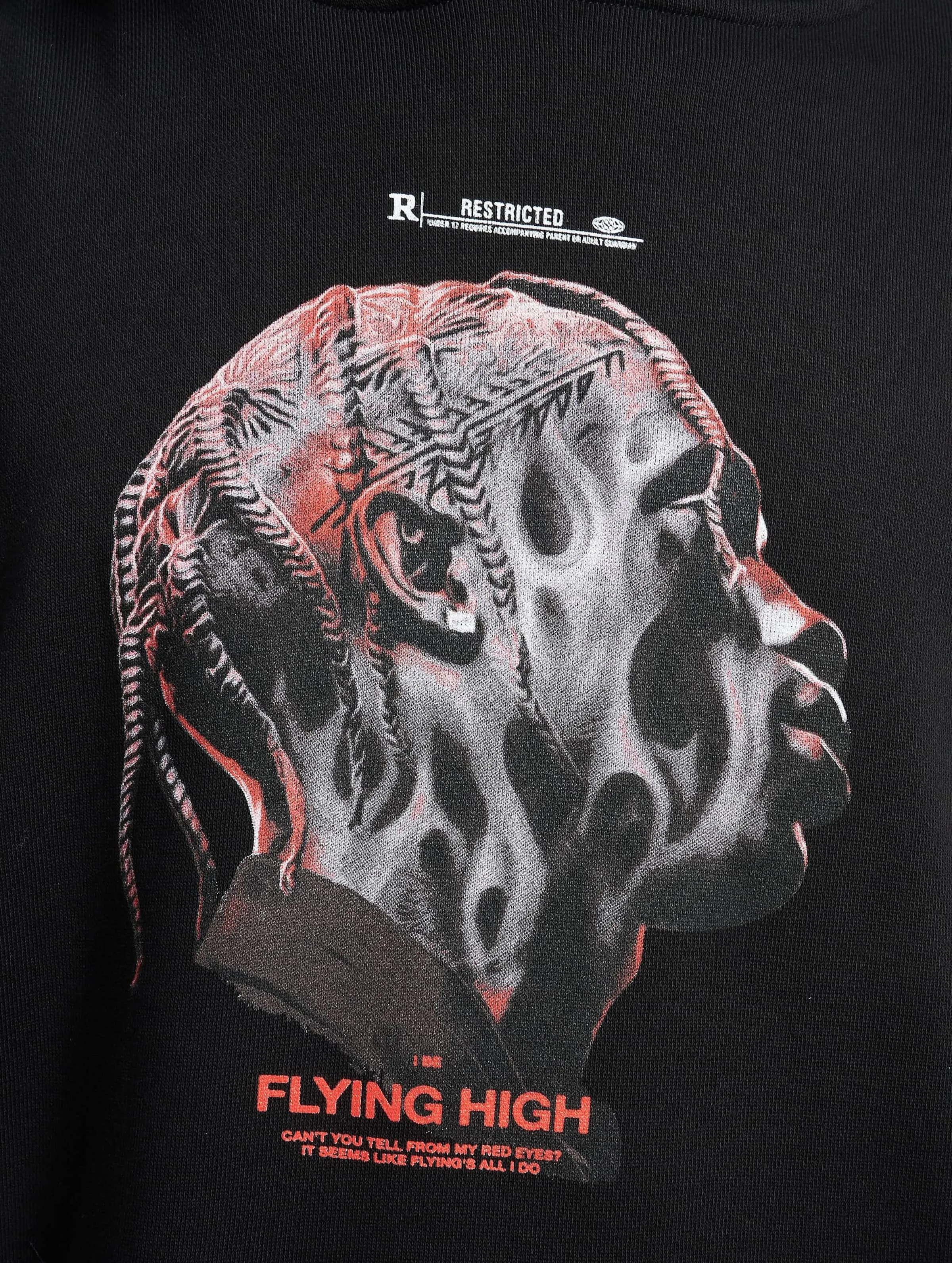 Upscale Flying High